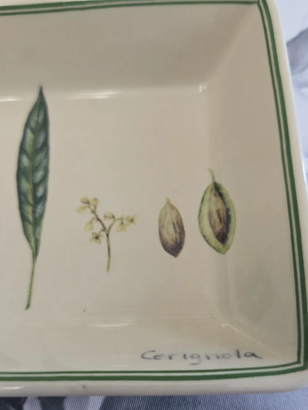 Williams Sonoma Set Of 3 Botanical Olive Dessert Plates & Dipping Bowl